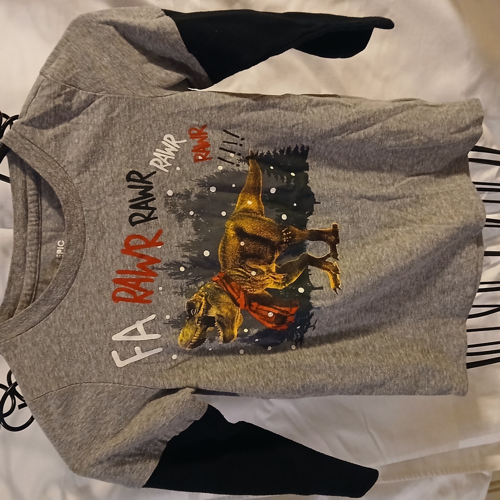 Gray Dinosaur Graphic Kids Shirt